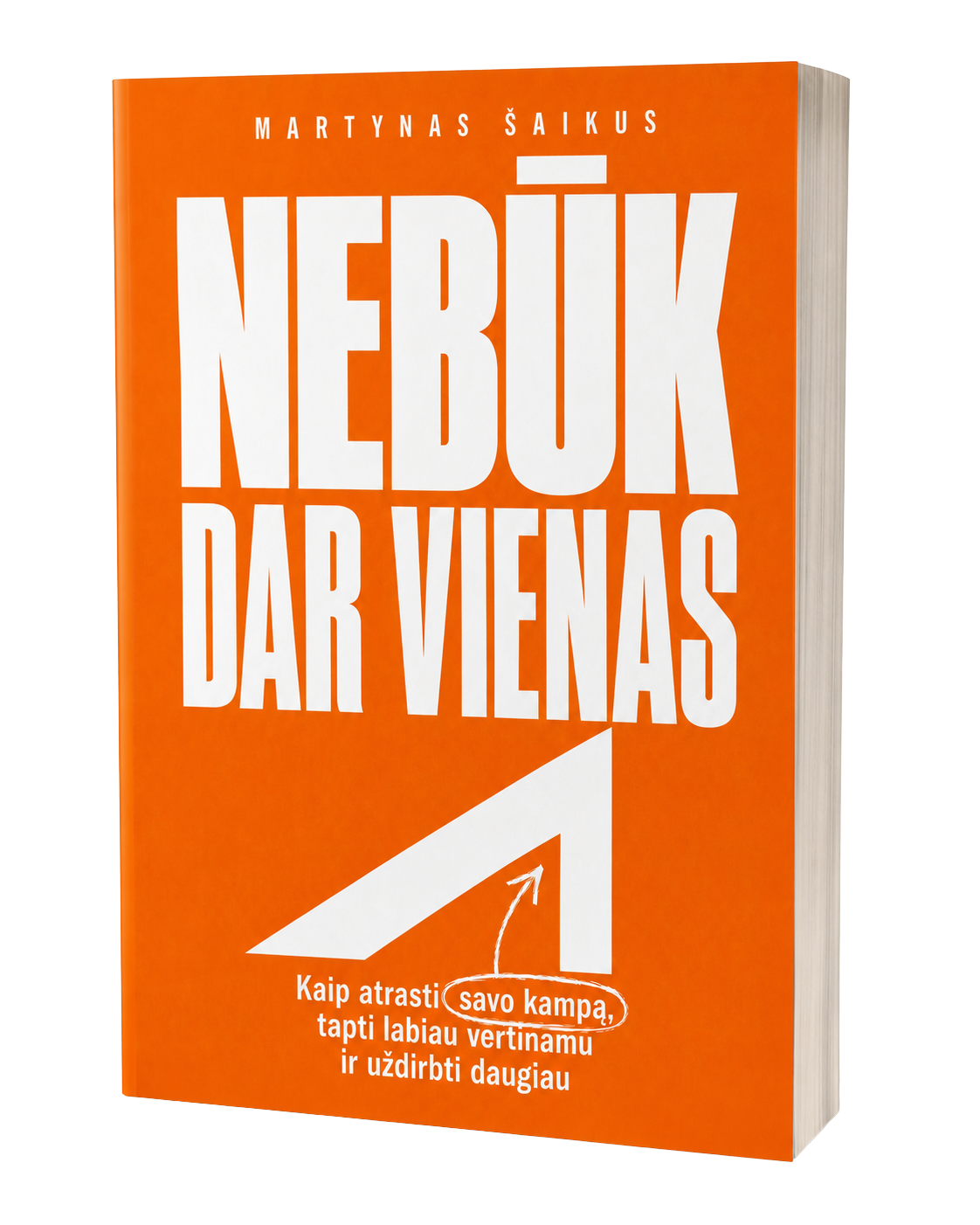 Martyno Šaikaus knyga „Nebūk dar vienas“